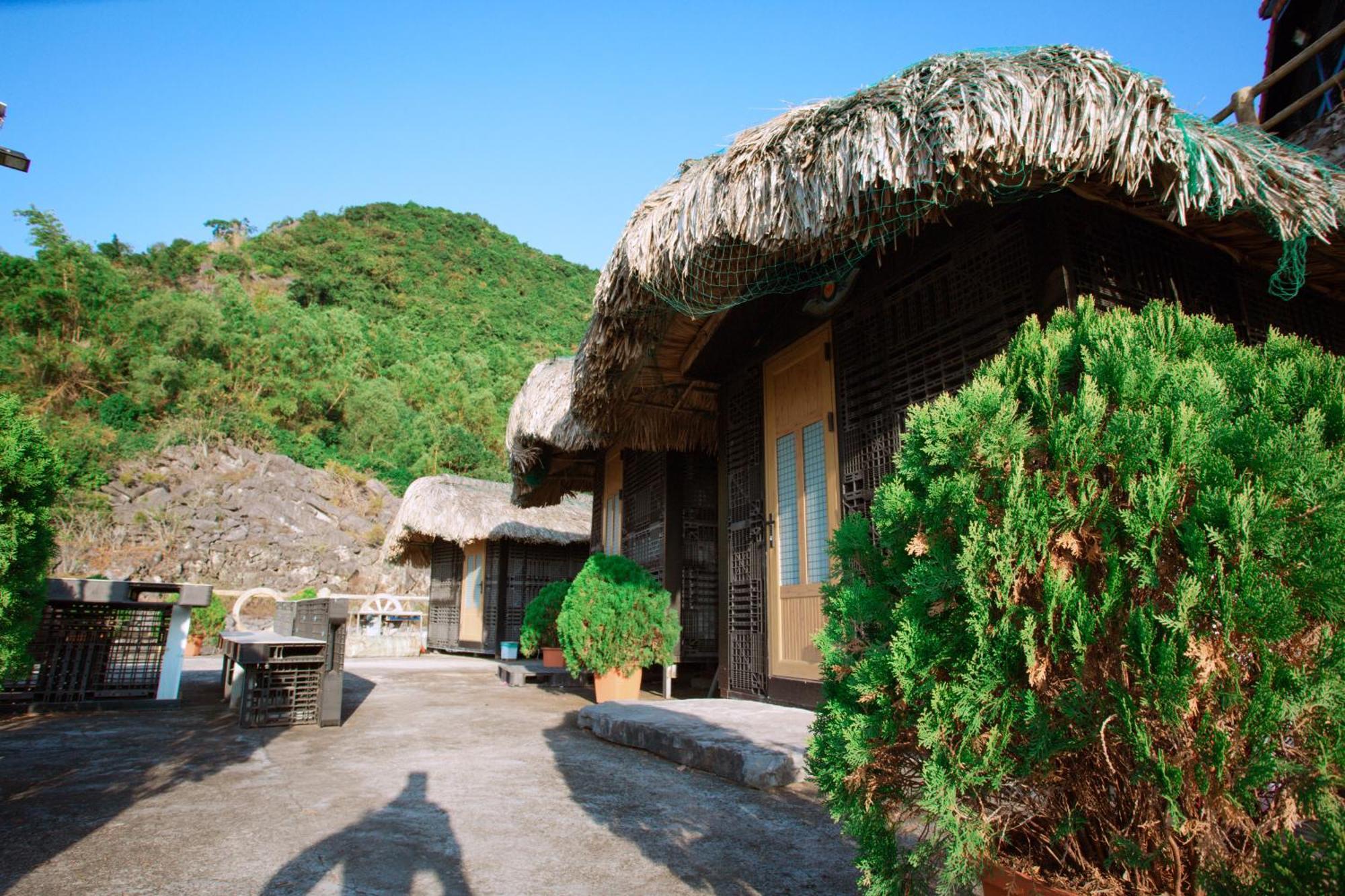 Cat Ba Mountain View Bed & Breakfast Chan Chau Exterior foto